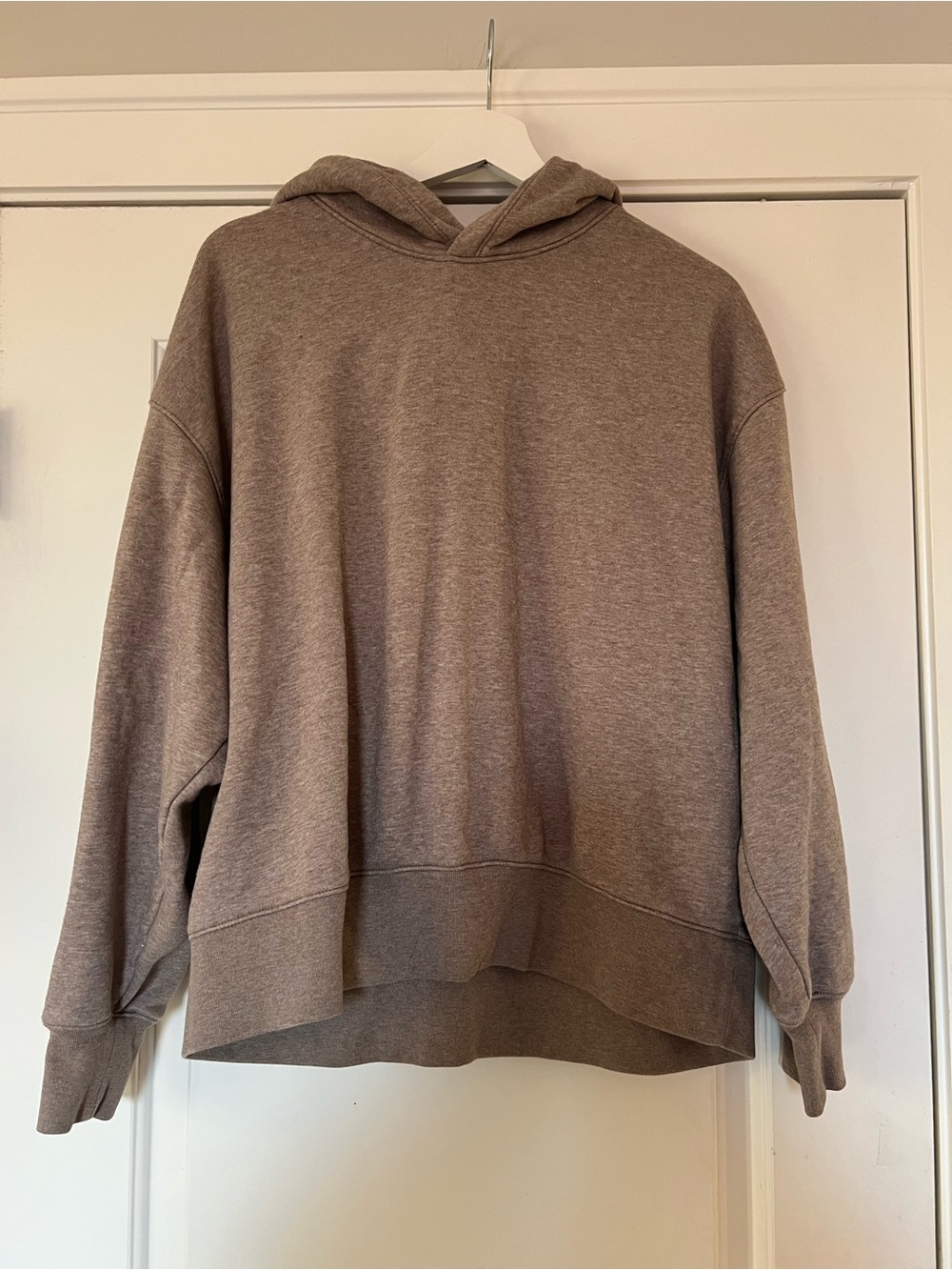 American Eagle Outfitters Neutral Taupe Hoodie